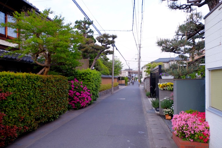 Arashiyama End34